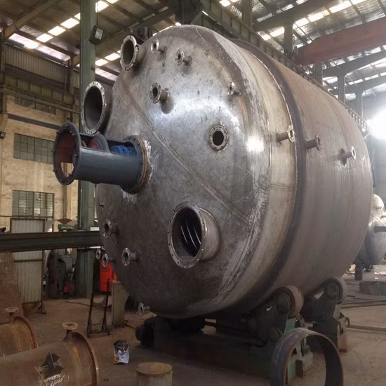 Reattore chimico in acciaio inossidabile 304 con rivestimento